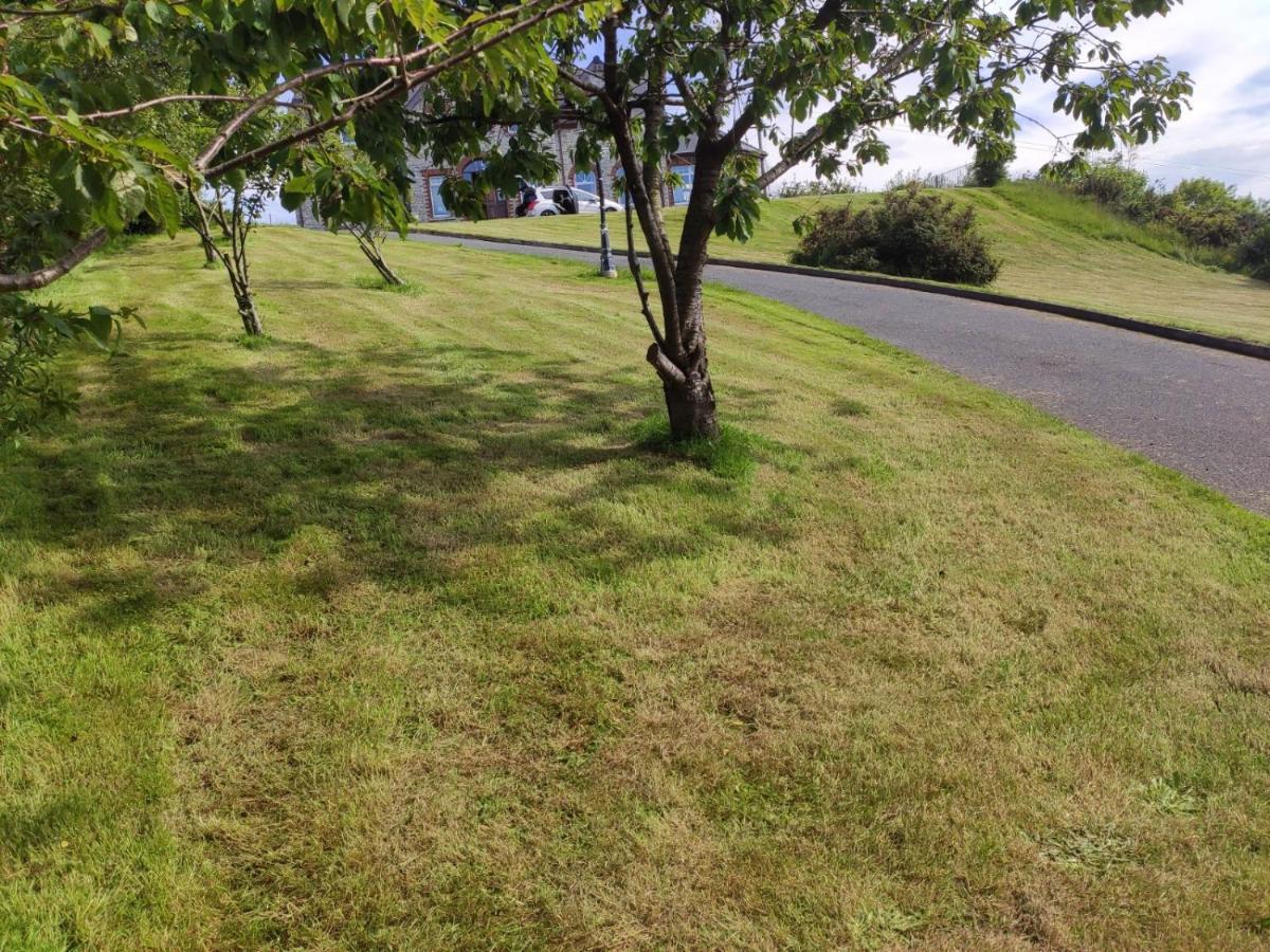 Ballylawn Lodge Letterkenny Exterior foto